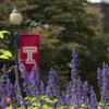 Image of Temple flags